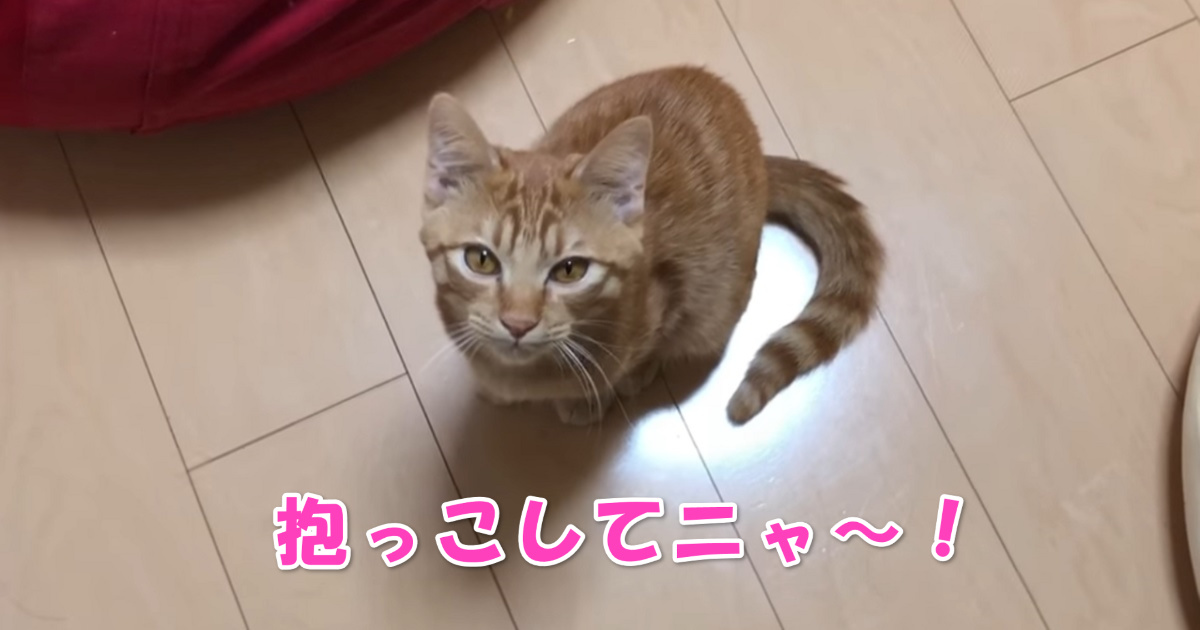 お出迎え　アイキャッチ