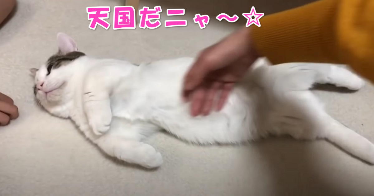 ナデナデ　アイキャッチ