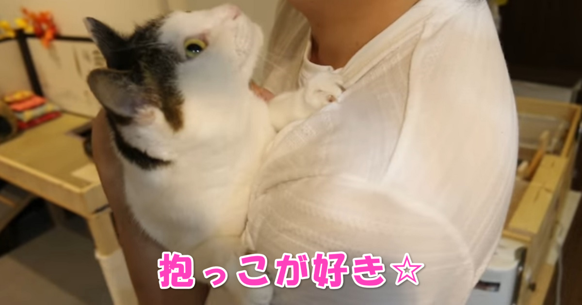 抱っこ　アイキャッチ