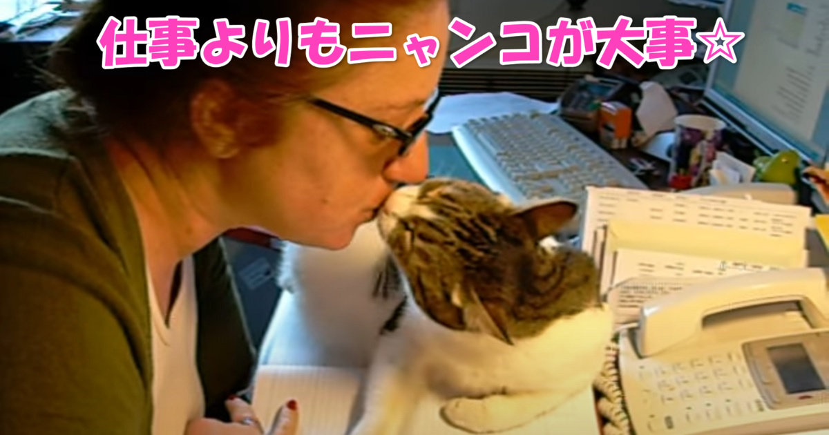 ニャンコが優先　アイキャッチ