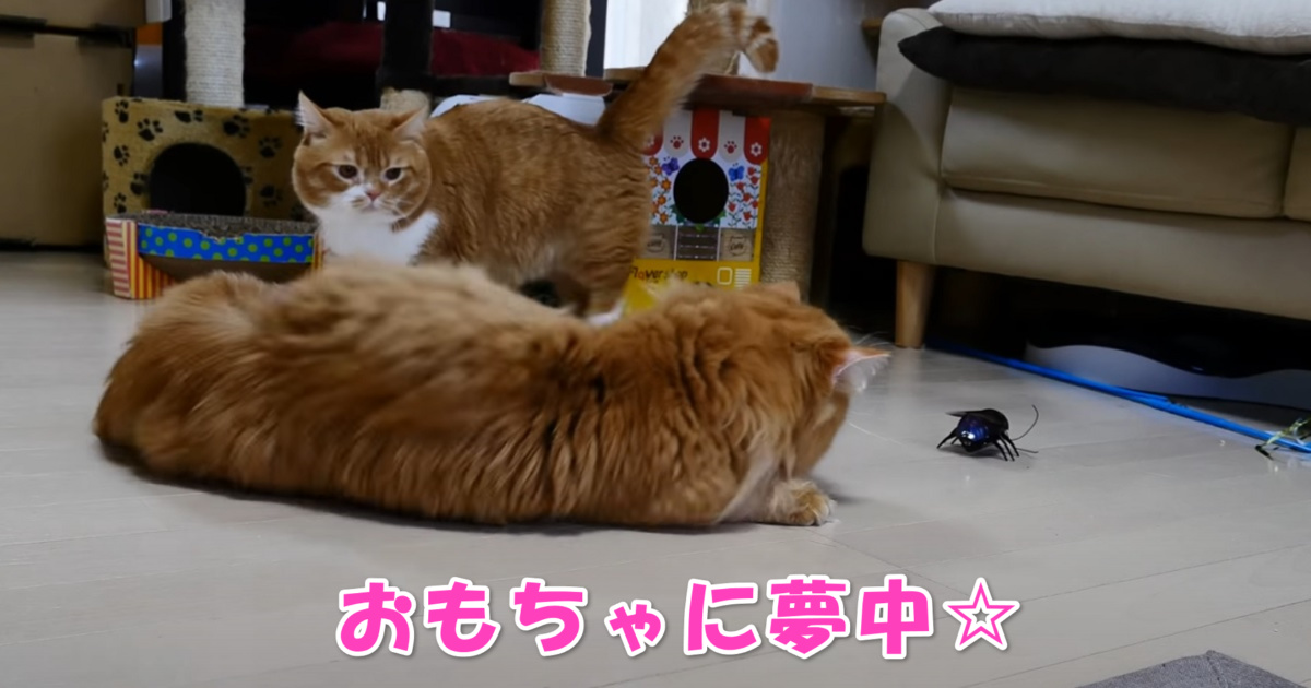 おもちゃ　アイキャッチ