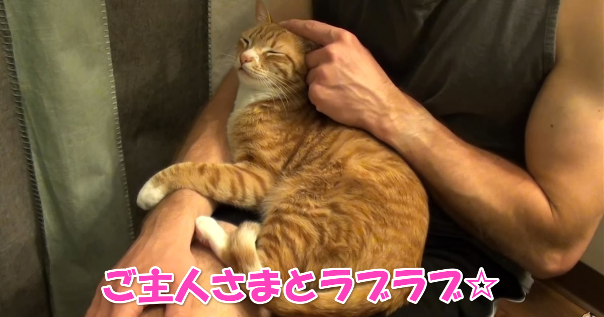 ハグ　アイキャッチ