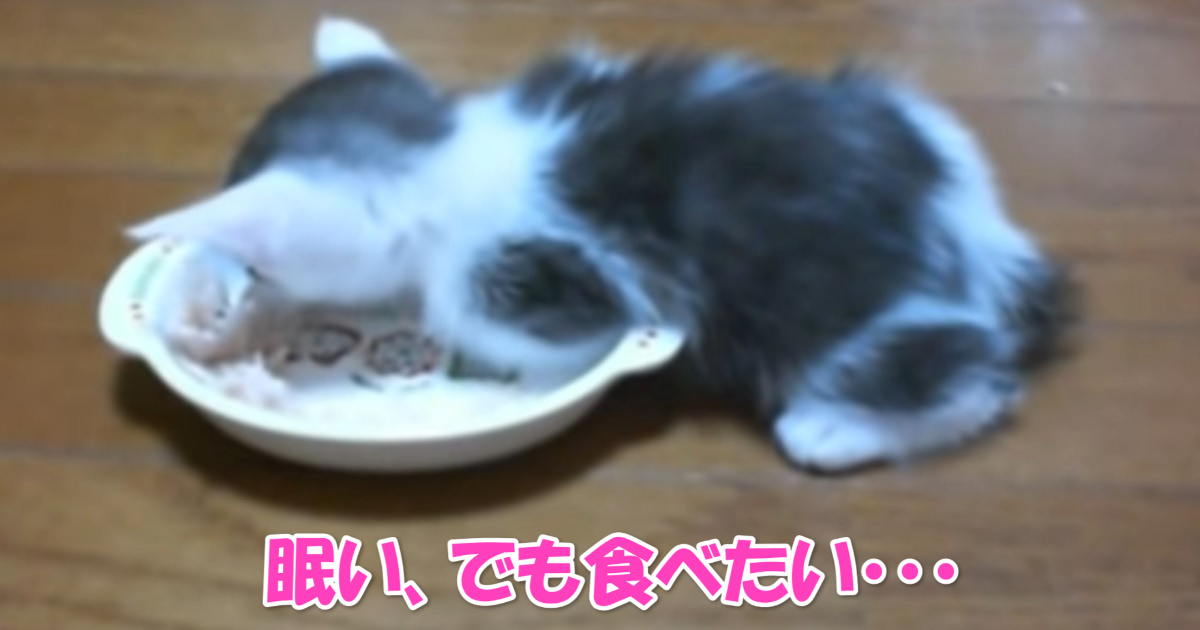 食べたいけど眠い　アイキャッチ