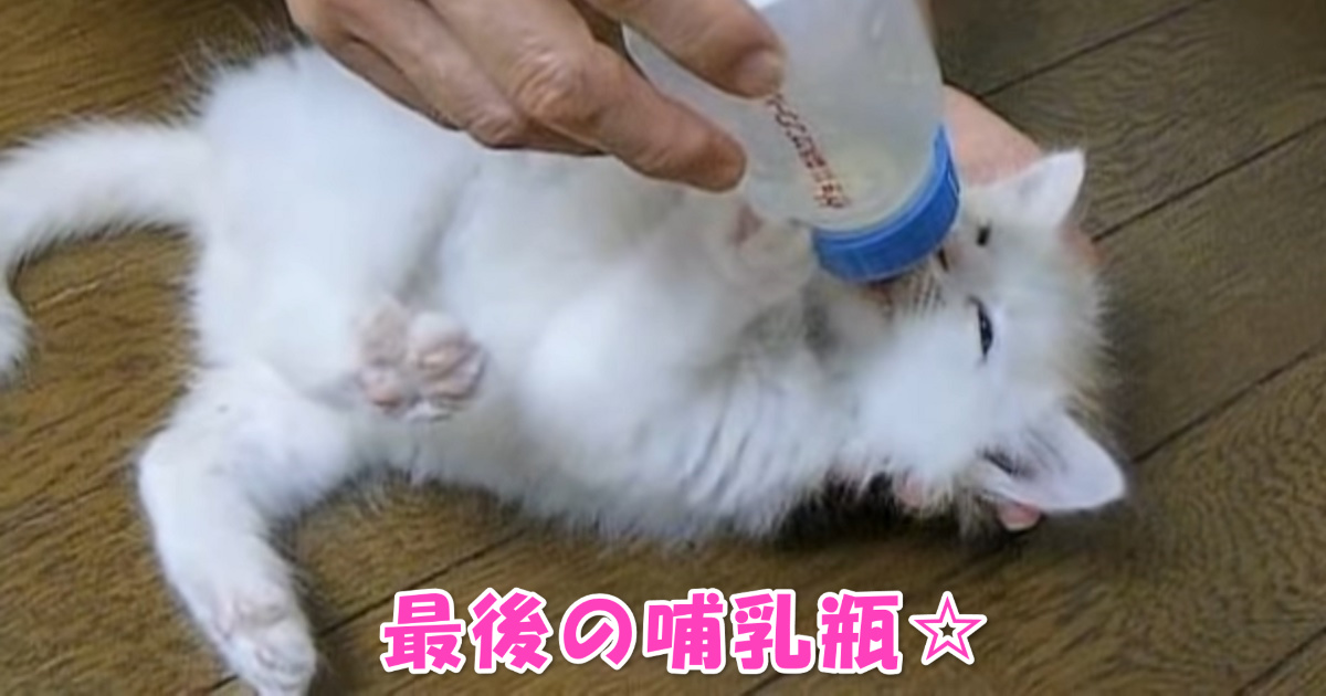 哺乳瓶　アイキャッチ