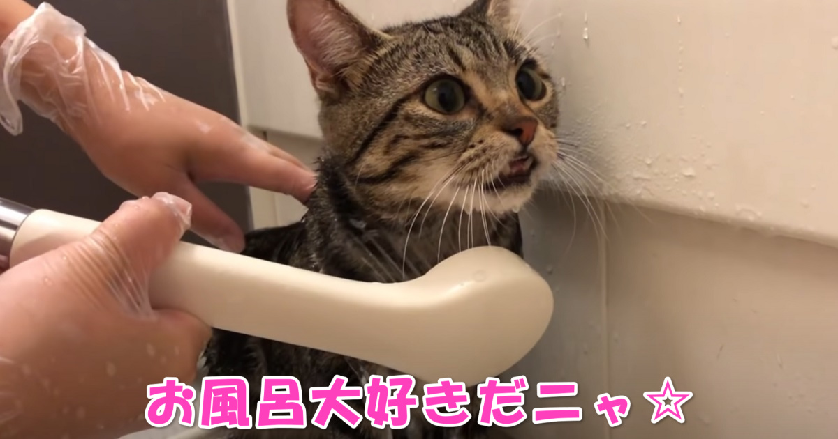 お風呂　アイキャッチ