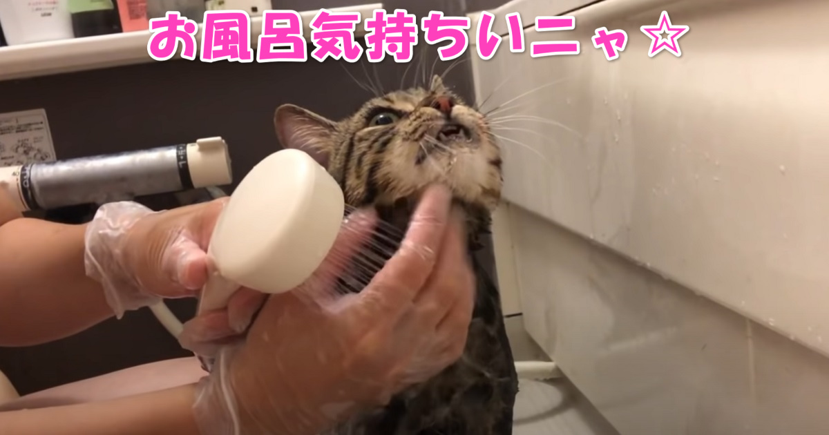 お風呂　アイキャッチ