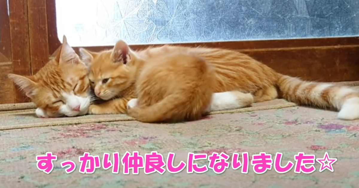 仲良し　アイキャッチ