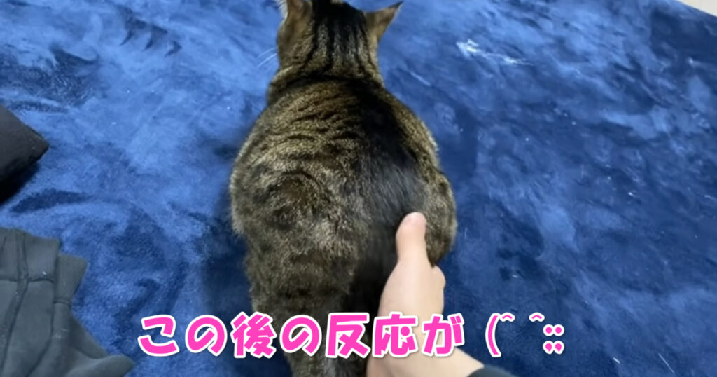 反応　アイキャッチ