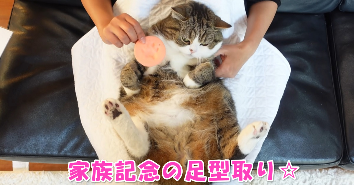 家族記念　アイキャッチ