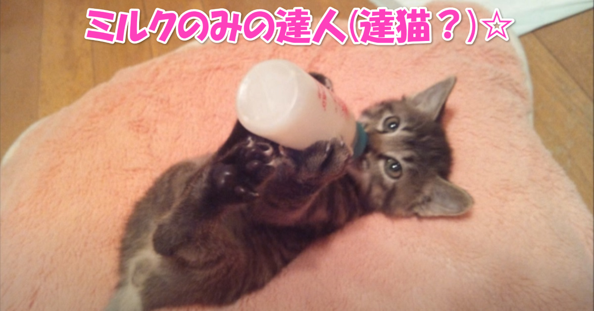 哺乳瓶　アイキャッチ