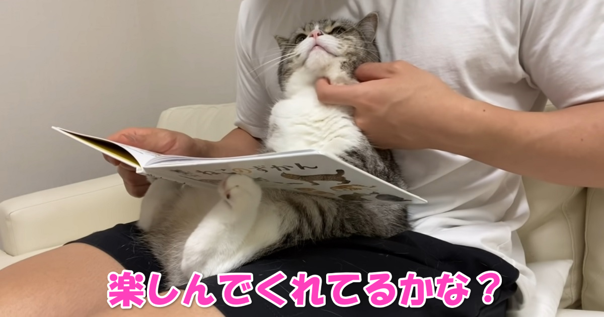 ニャンコへの読み聞かせ　アイキャッチ