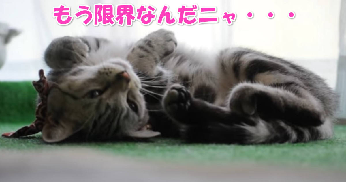 お眠り　アイキャッチ