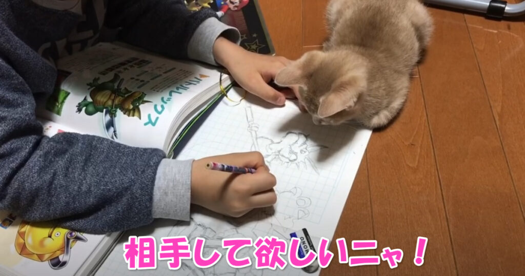 相手して欲しいニャ☆　お絵描きの邪魔をする子猫ちゃん