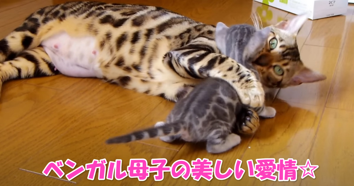 ベンガルの母子　アイキャッチ