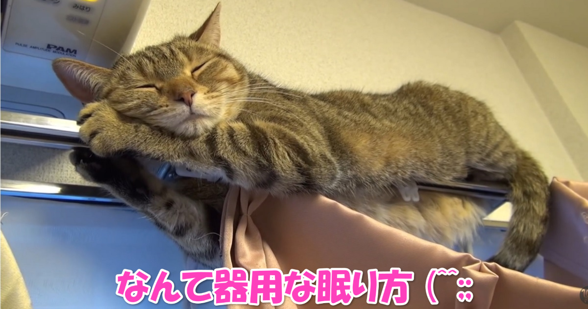 アクロバティックな睡眠　アイキャッチ