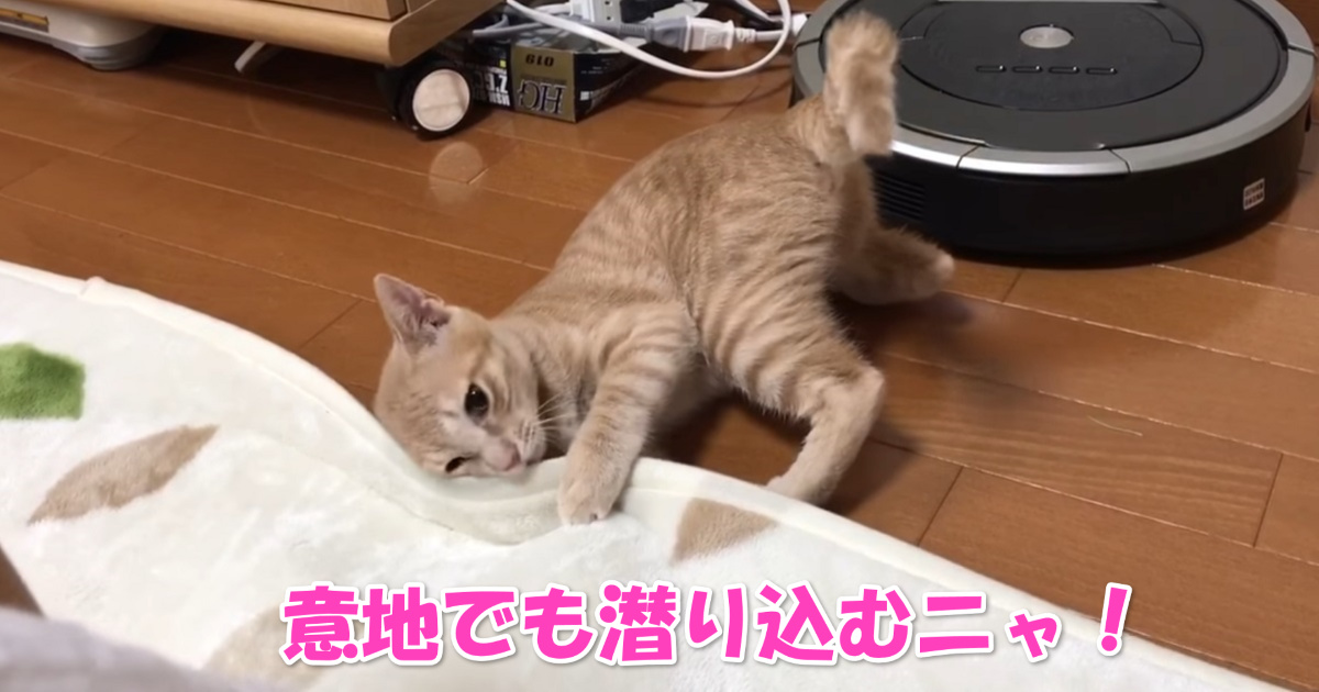 カーペットへ潜り込み　アイキャッチ