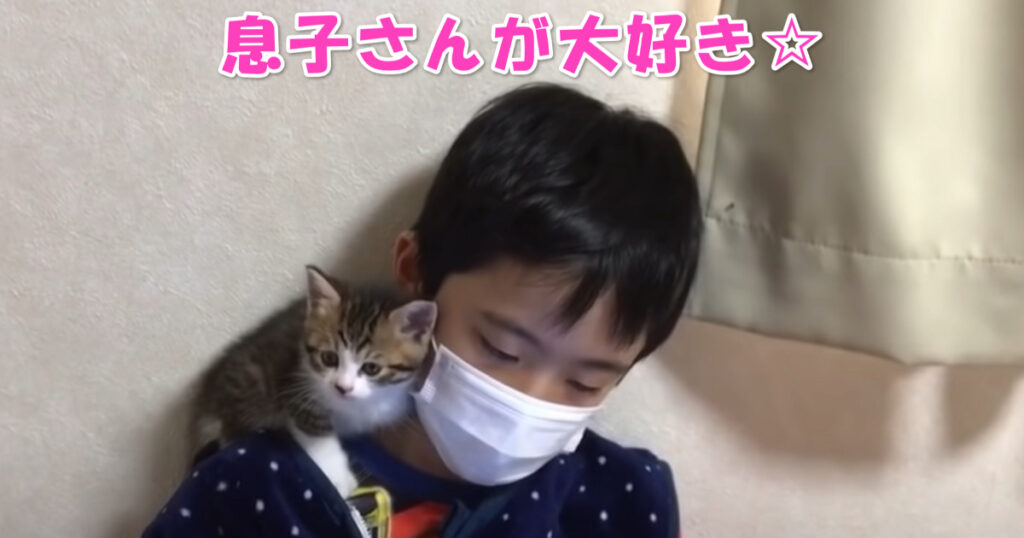 大好きだニャ☆　息子さんのまわりに集まる子猫ちゃんたち