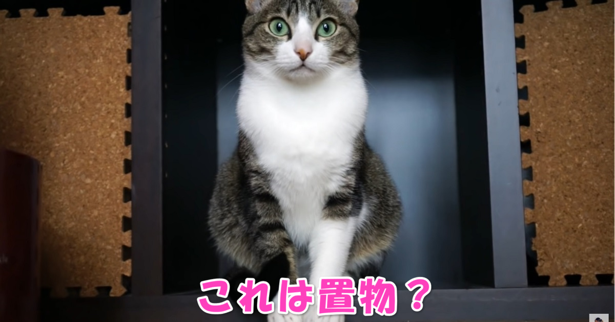 猫の置物　アイキャッチ